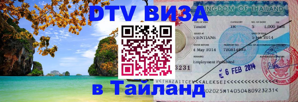Оформление DTV визы под ключ: стоимость и тарифы, только загранпаспорт - 